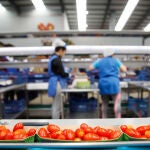 Instalaciones de la empresa Campojoyma, dedicada a la agricultura ecológica
