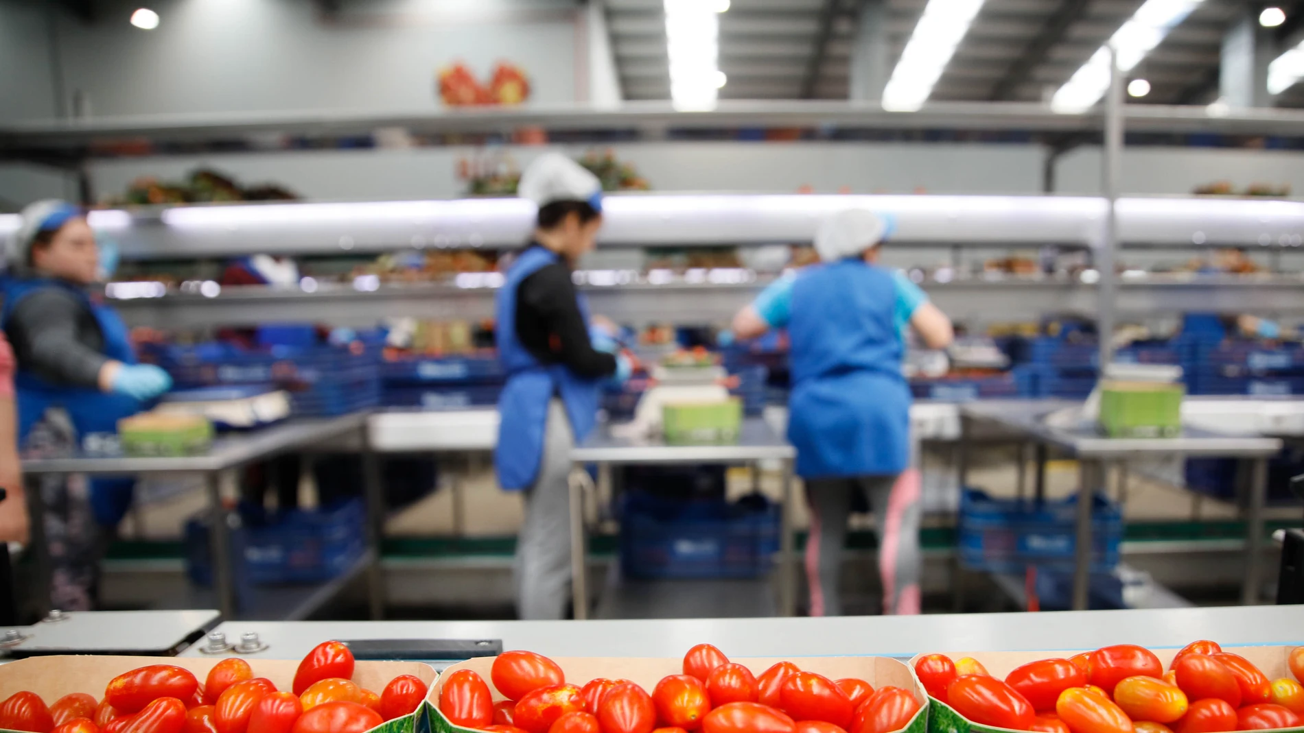 Instalaciones de la empresa Campojoyma, dedicada a la agricultura ecológica