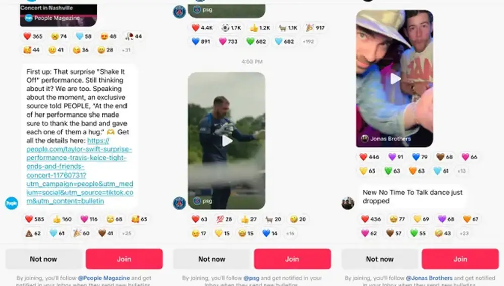 Así lucen los canales de TikTok