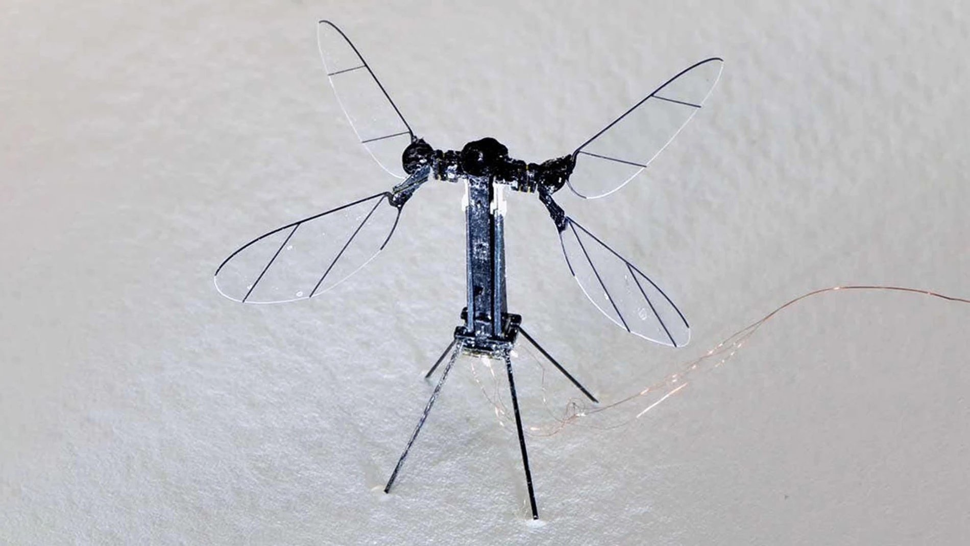 Aparece un dron pequeño con cuatro alas como si fueran un mosquito y una cámara en medio para poder grabar imágenes