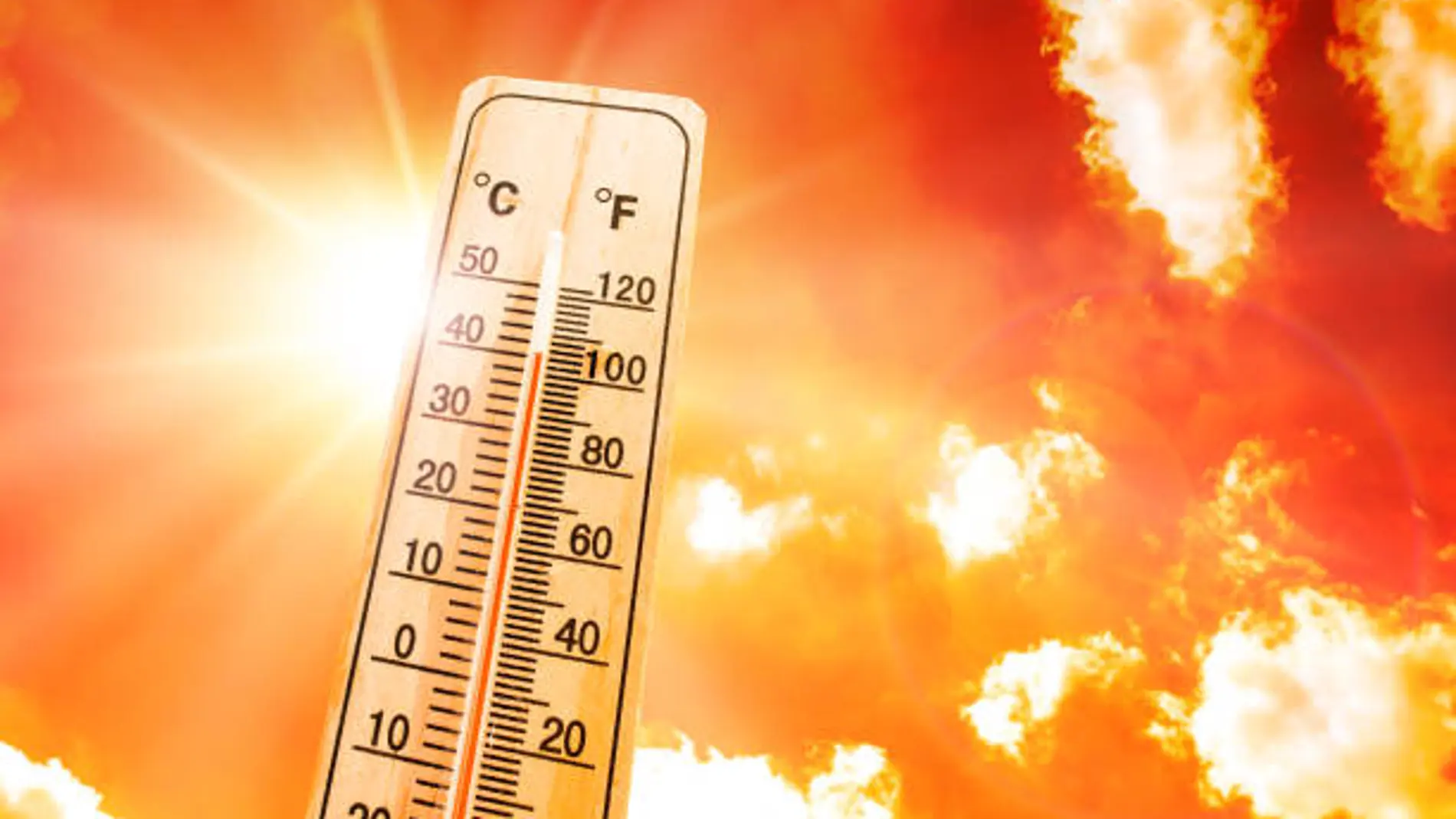 Ola de calor