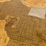 Imagen del nuevo mosaico descubierto en el yacimiento de El Picadero