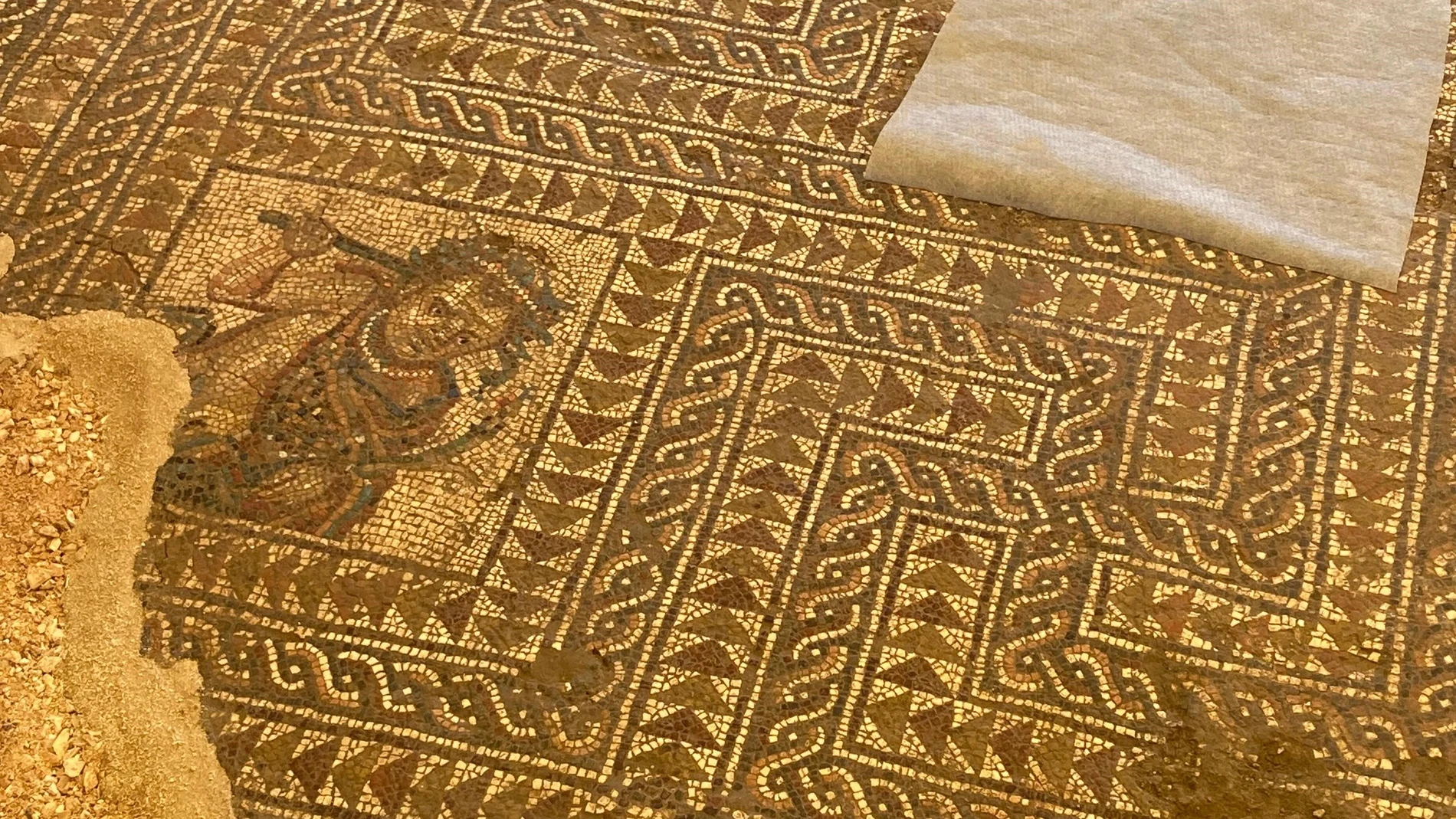 Imagen del nuevo mosaico descubierto en el yacimiento de El Picadero REMITIDA / HANDOUT por AYUNTAMIENTO DE ÉCIJA Fotografía remitida a medios de comunicación exclusivamente para ilustrar la noticia a la que hace referencia la imagen, y citando la procedencia de la imagen en la firma 30/06/2025