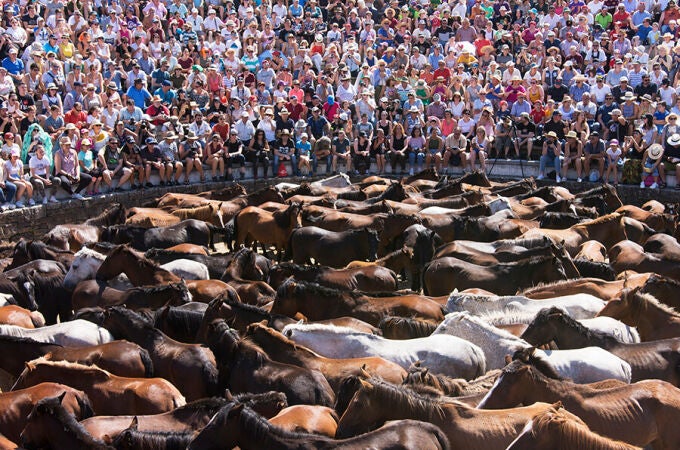 Cuerpo a cuerpo: así es la ancestral Rapa das Bestas de Sabucedo que se celebra este fin de semana
