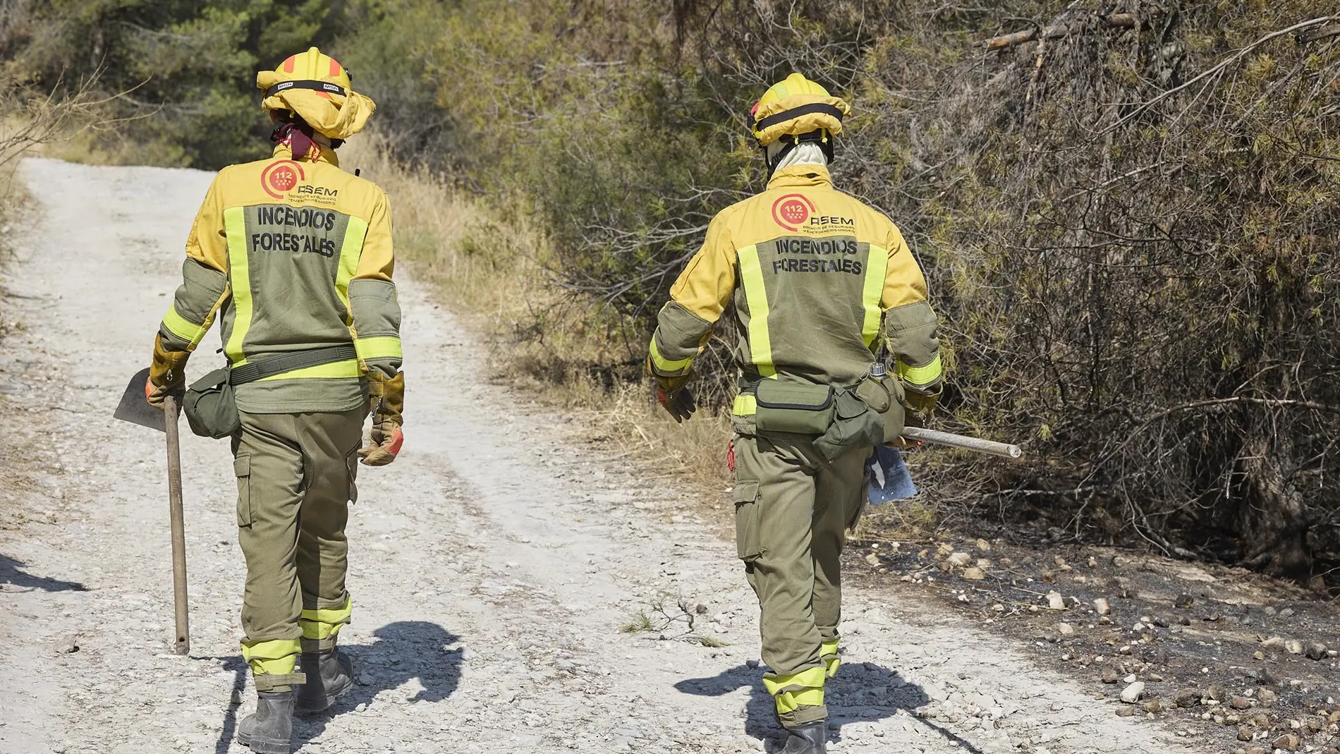 MADRID.-VÍDEO: Sucesos.- Los bomberos trabajan para controlar un incendio forestal en el municipio madrileño de Villa del Prado