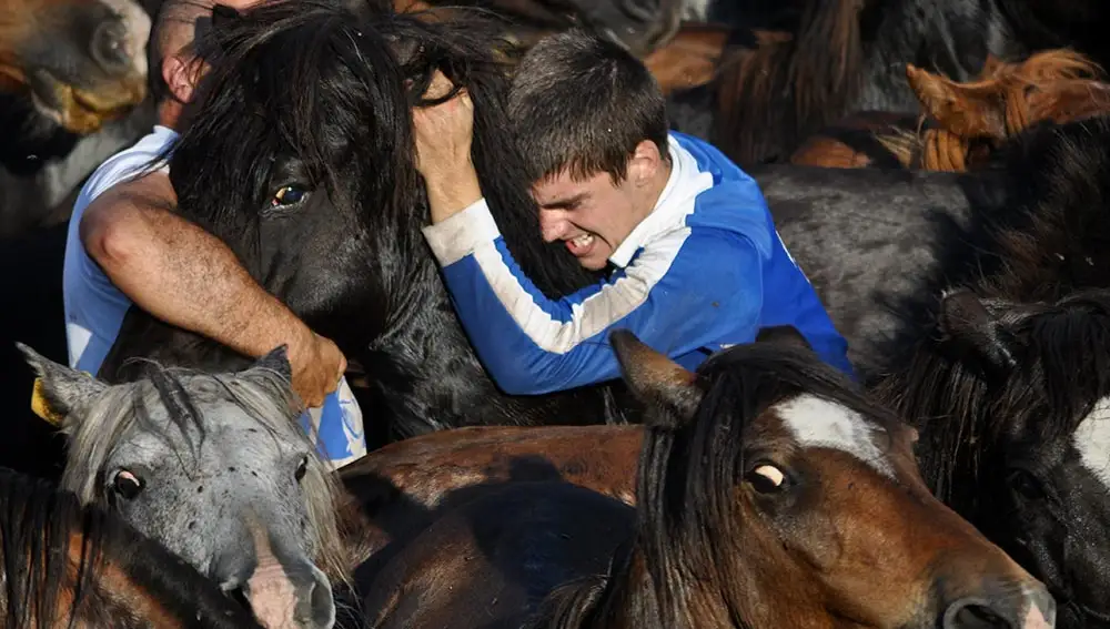 Rapa das Bestas de Sabucedo