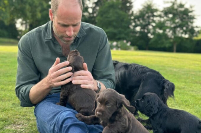 El príncipe Guillermo junto a su perra Orla y sus cachorros