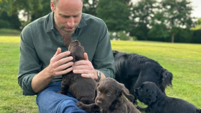 El príncipe Guillermo junto a su perra Orla y sus cachorros