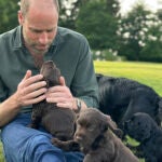 El príncipe Guillermo junto a su perra Orla y sus cachorros