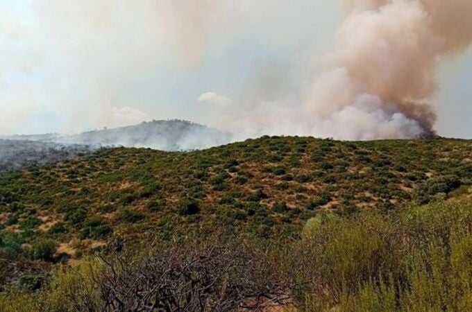 Incendio en la Sierra de Andújar