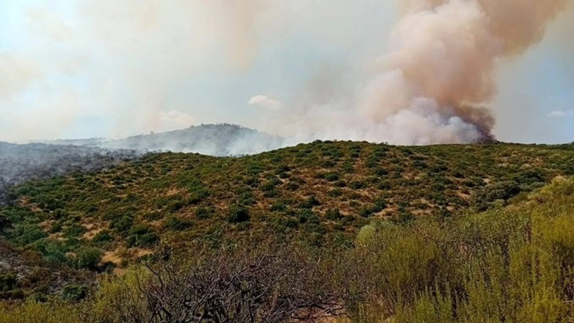 Incendio en la Sierra de Andújar