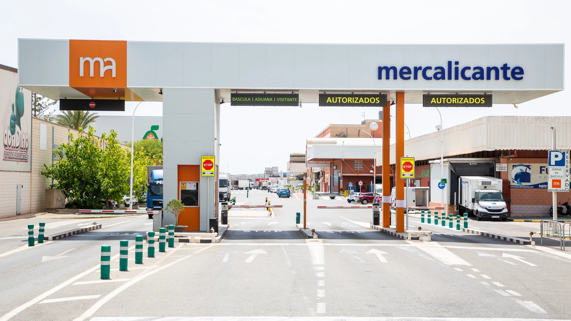 Imagen de la entrada de Mercalicante