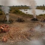 El Arqueológico de Cantabria participa en investigación sobre una 'fábrica de grasa' neandertal de hace 125.000 años