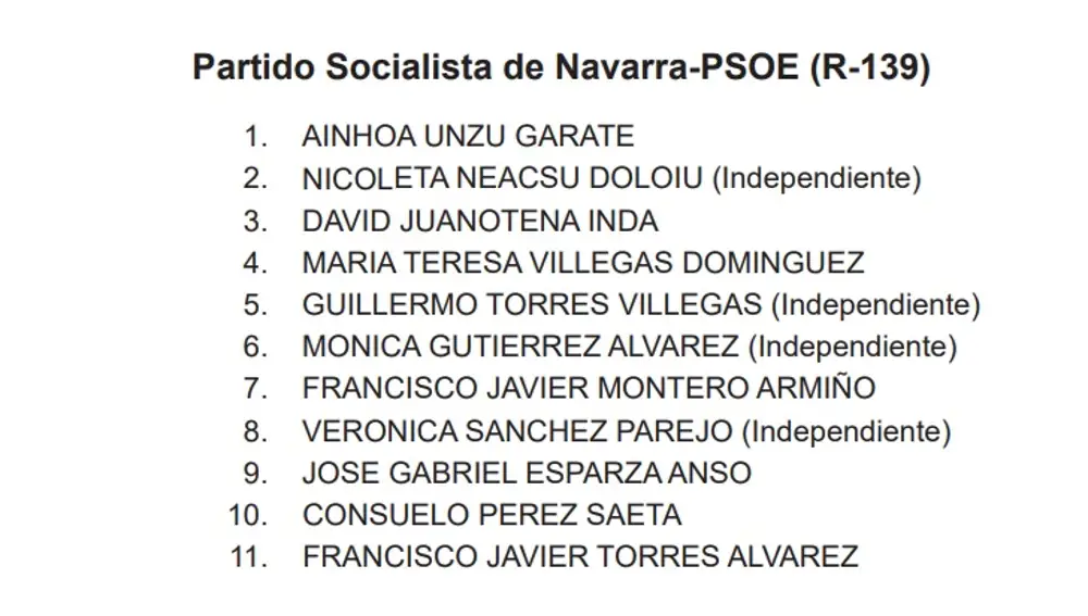 La amiga de Koldo concurrió en las elecciones municipales de 2023 por el PSN