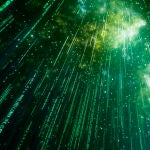 Algoritmo verde, algoritmo para la naturaleza