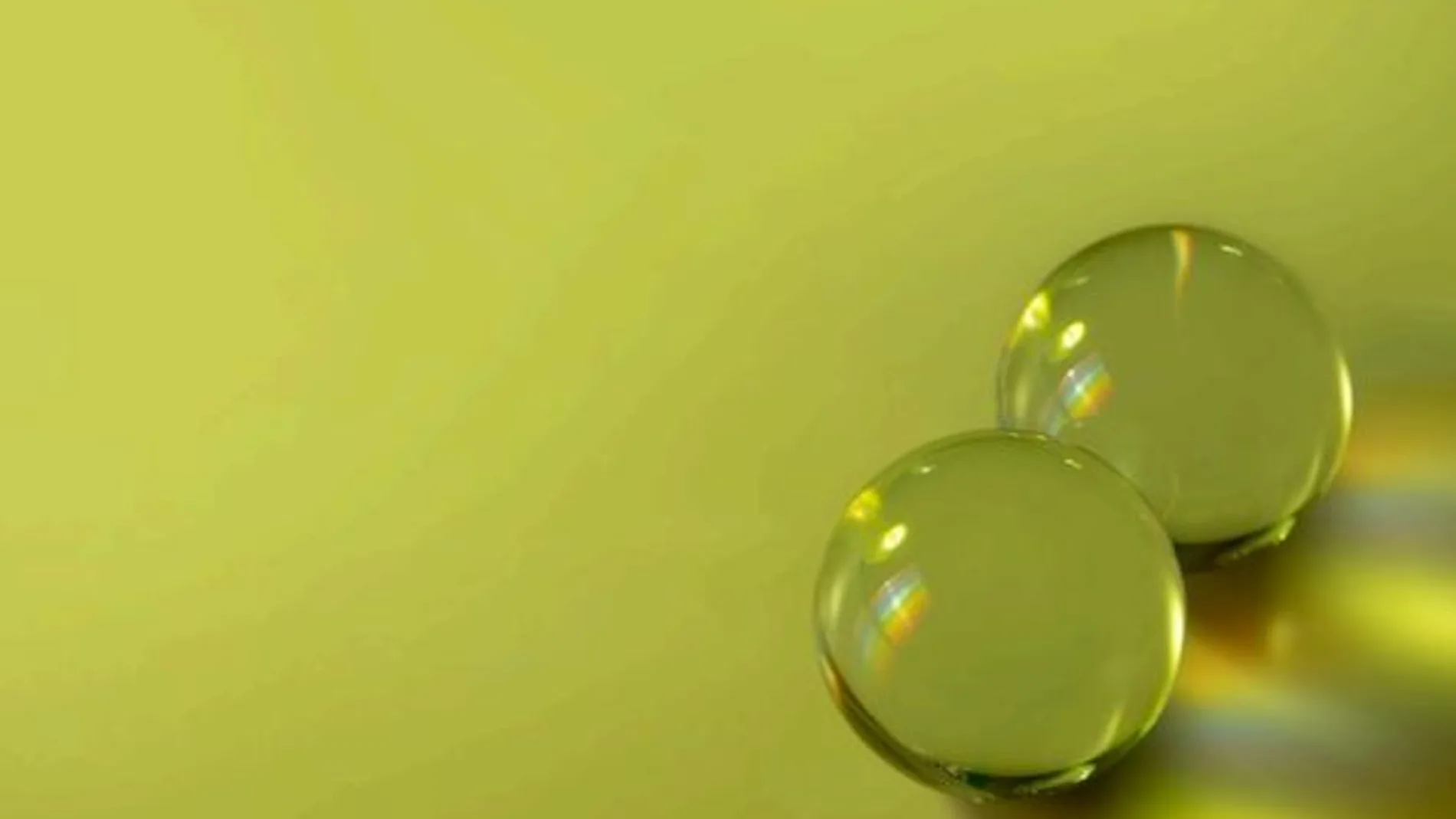 Gastronomía molecular con Aceite de Oliva Virgen Extra