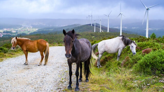 Parque eólico en Monte Redondo, Galicia