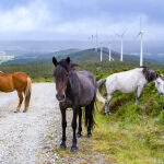 Parque eólico en Monte Redondo, Galicia