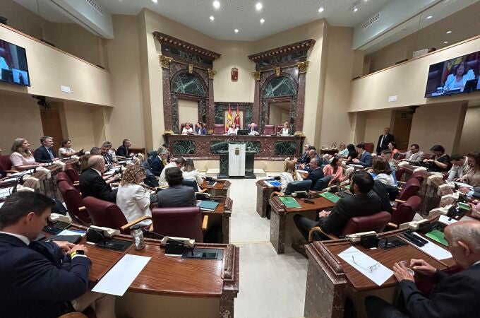 Pleno de la Asamblea Regional 
