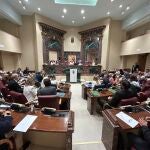 Pleno de la Asamblea Regional 