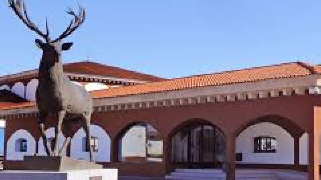 Imagen de la bodega