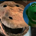 El cráneo del individuo encontrado junto a Rex, de Toy Story