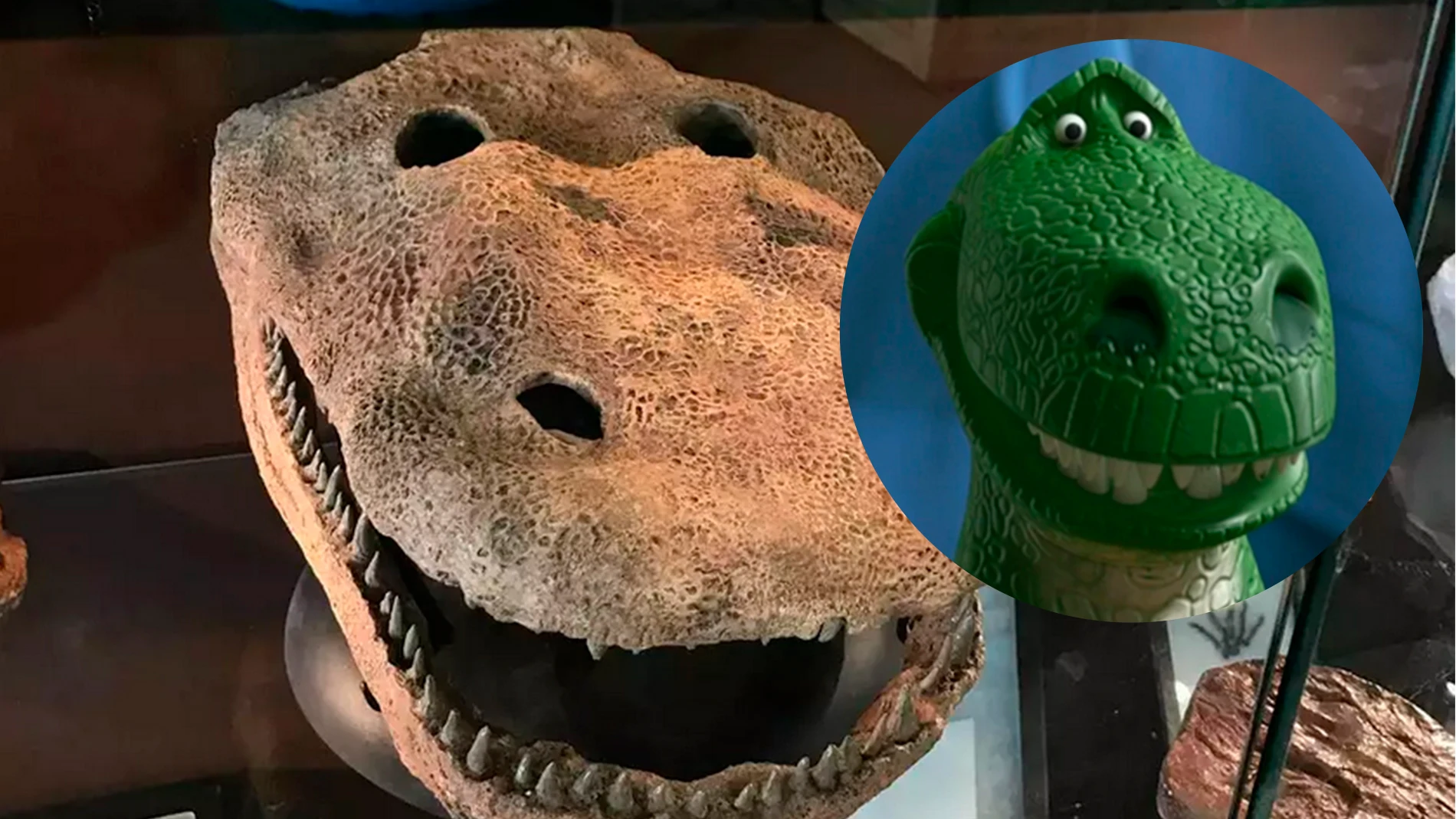 El cráneo del individuo encontrado junto a Rex, de Toy Story