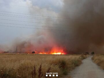 Imagen del incendio en Terrassa