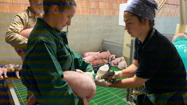 Investigación de la vacuna