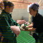 Investigación de la vacuna