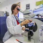 El biobanco de tumores del Hospital Universitario de Burgos cumple en 2026 su veinte aniversario