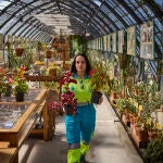 Madrid activará este verano tres espacios vegetales culturales en el Círculo de Bellas Artes, CentroCentro y M