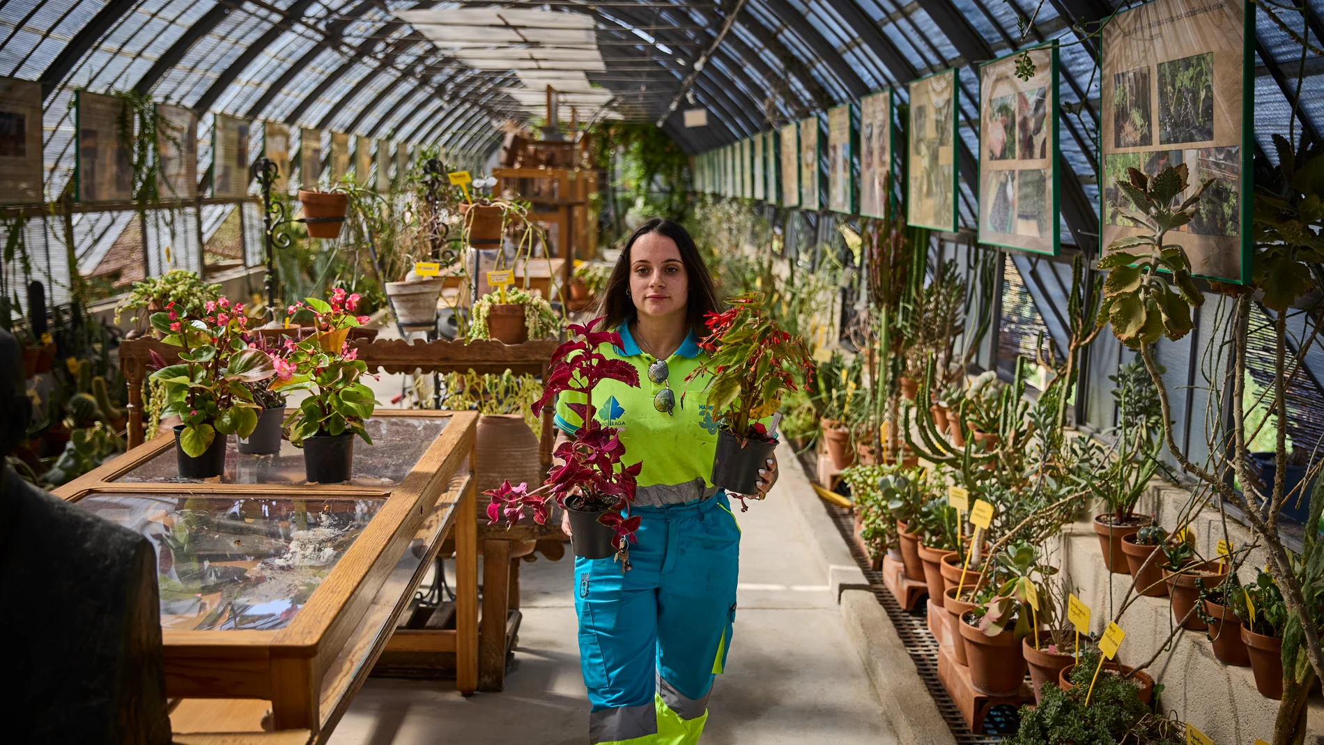 Madrid activará este verano tres espacios vegetales culturales en el Círculo de Bellas Artes, CentroCentro y Matadero Madrid, gracias a la colaboración entre viveros municipales y centros culturales. La iniciativa, presentada por Borja Carabante y Marta Rivera de la Cruz, combina vegetación, cultura y sostenibilidad para mejorar el entorno urbano, mitigar el calor y fomentar el consumo cultural en entornos naturales. © Alberto R. Roldán / Diario La Razón. 04 07 2025