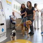 Terapias con perros en Vall d'Hebron para menores con conductas autolesivas y suicidas