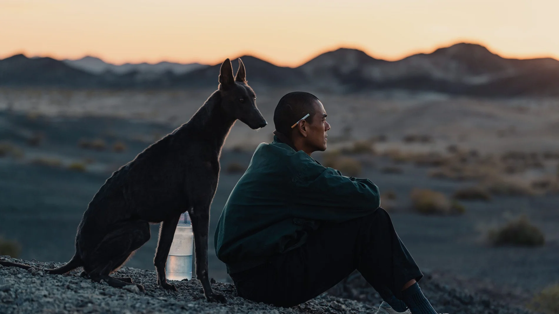 Un fotograma de "Black Dog"