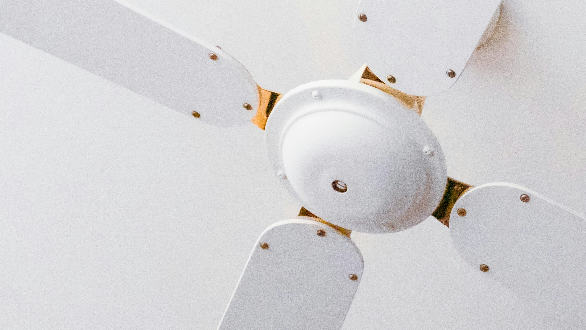 Ventilador de techo