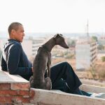 Un fotograma de "Black Dog"