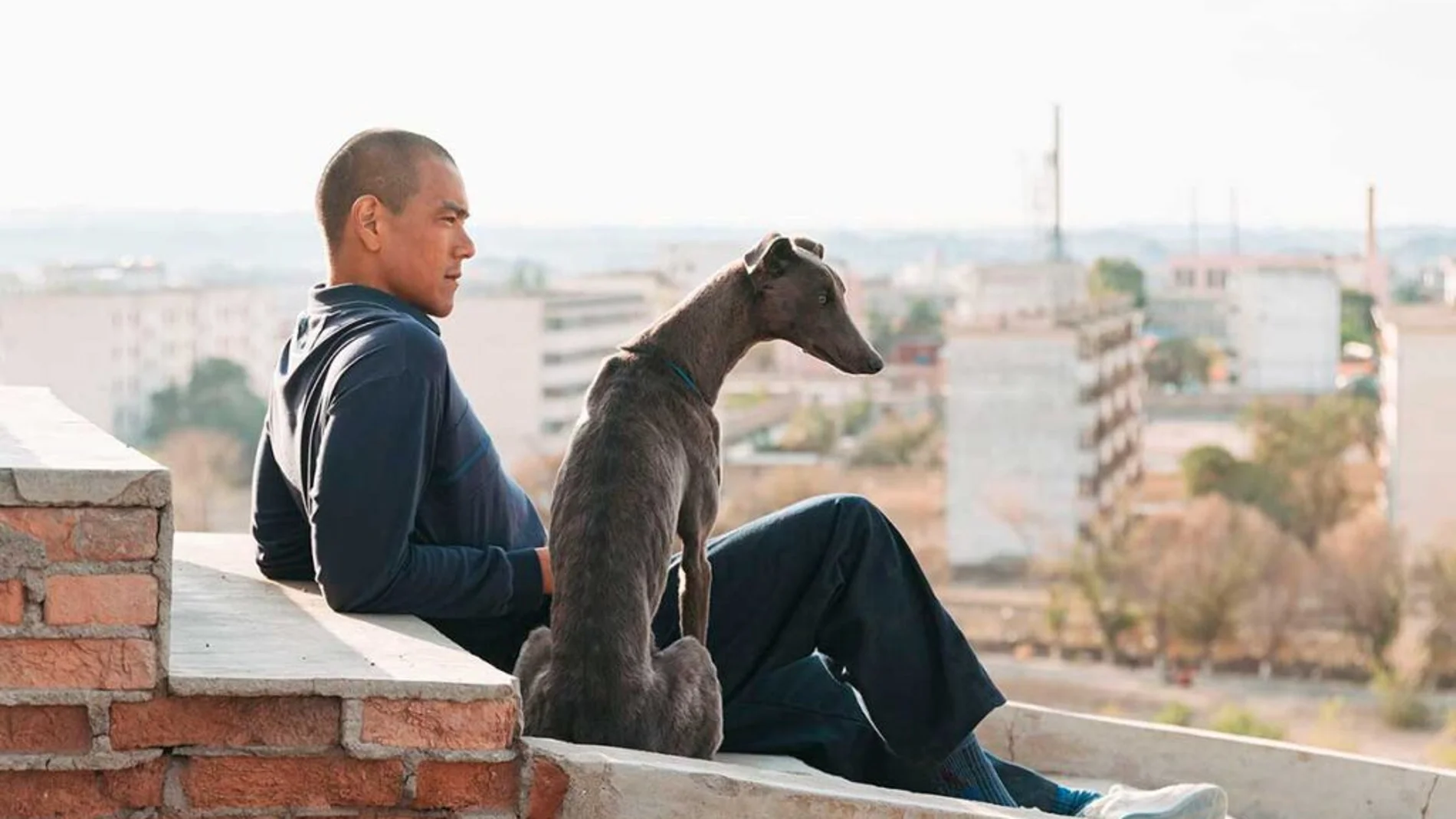 Un fotograma de "Black Dog"
