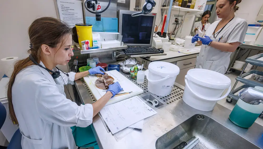 El biobanco de tumores del Hospital Universitario de Burgos cumple en 2026 su veinte aniversario