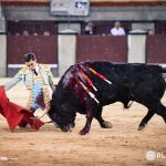 Aloi se crece bajo el aguacero y Pedro Luis firma naturales de oro