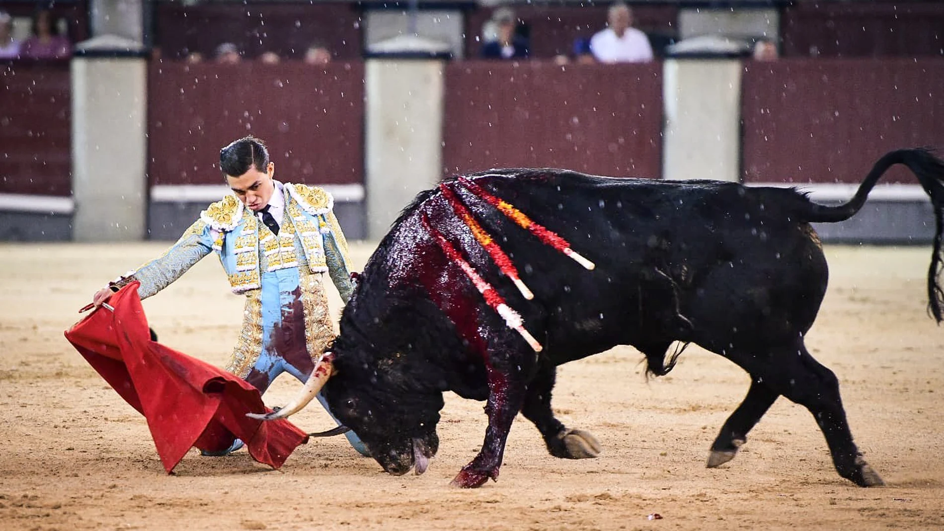 Aloi se crece bajo el aguacero y Pedro Luis firma naturales de oro