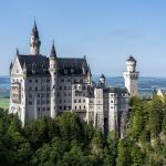 Polémica en Alemania: una turista encerró a su perro en una taquilla de mochilas para visitar un castillo