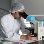 La Junta aumenta en 29 efectivos los investigadores predoctorales de universidades y centros de I+D