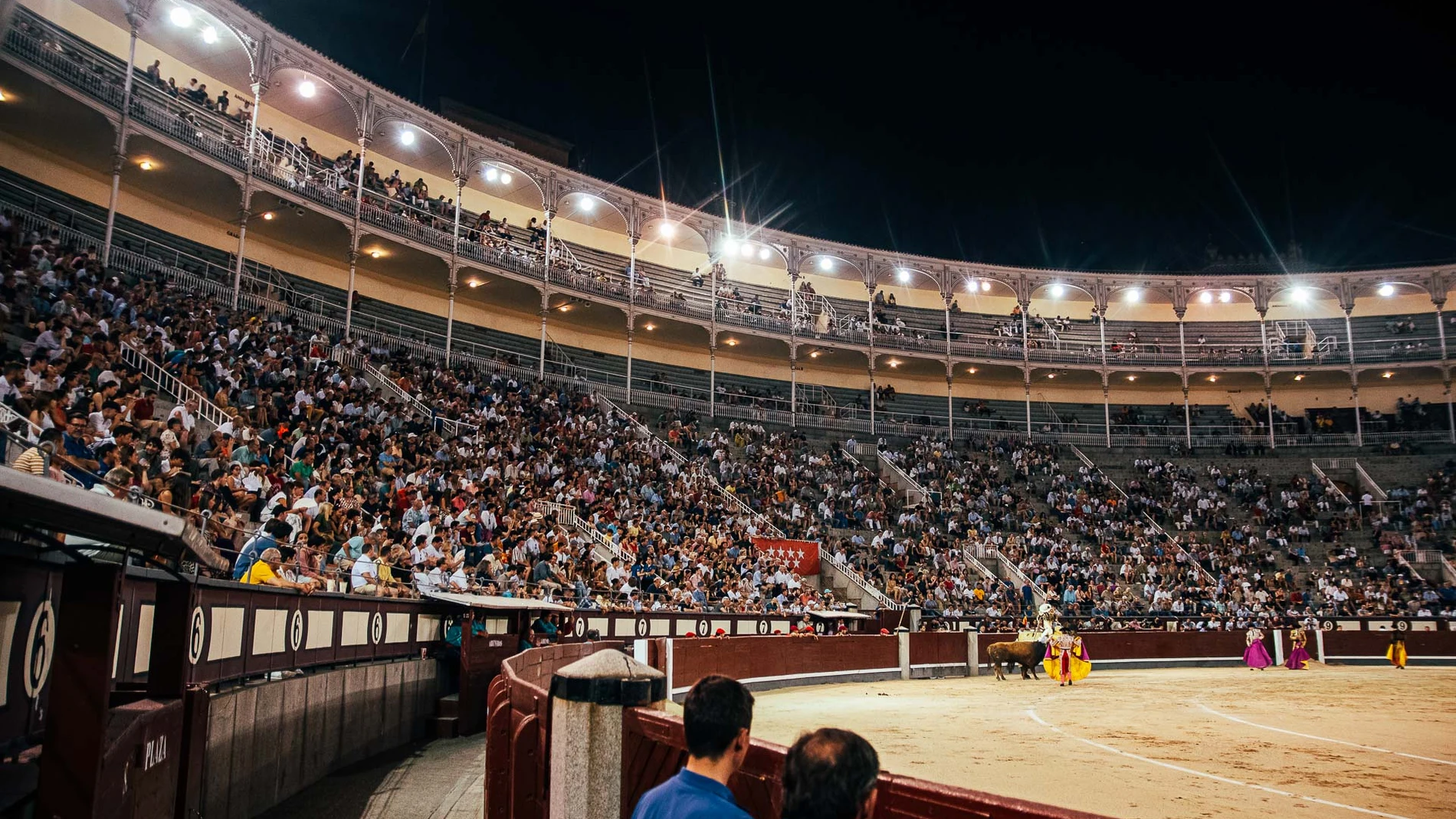 Jueves de toros y noche: la fórmula de Las Ventas en agosto