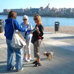 A Coruña pondrá multas de hasta 30.000 euros por no limpiar las deposiciones u orines de las mascotas