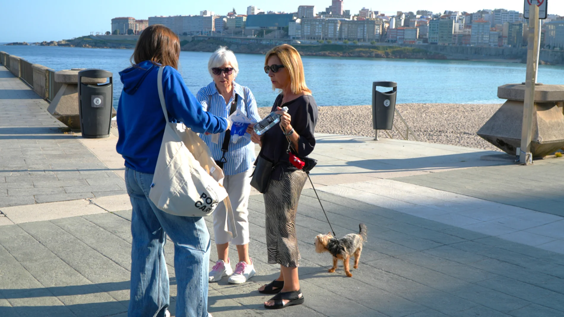 A Coruña pondrá multas de hasta 30.000 euros por no limpiar las deposiciones u orines de las mascotas