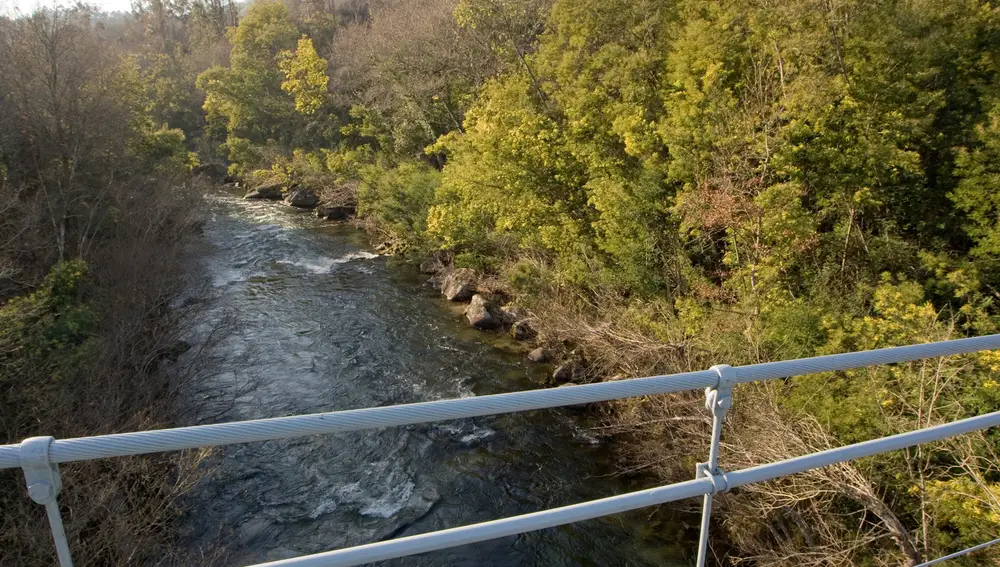 Vista del río Lérez sobre el puente