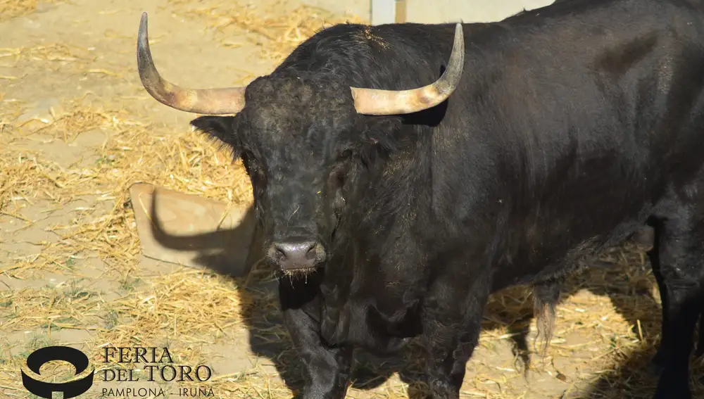 Trapío en los de Fuente Ymbro