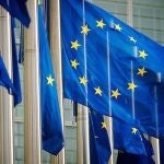 Cantabria asume la coordinación de las CCAA en el Consejo de Sanidad de la UE