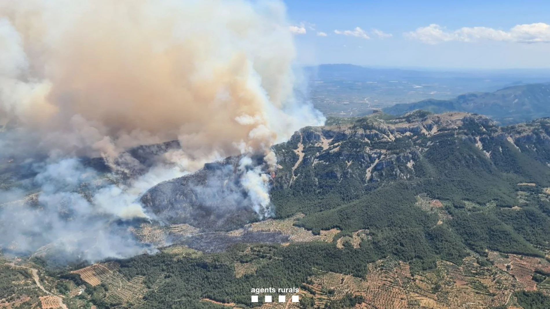 Incendio en el Baix Ebre